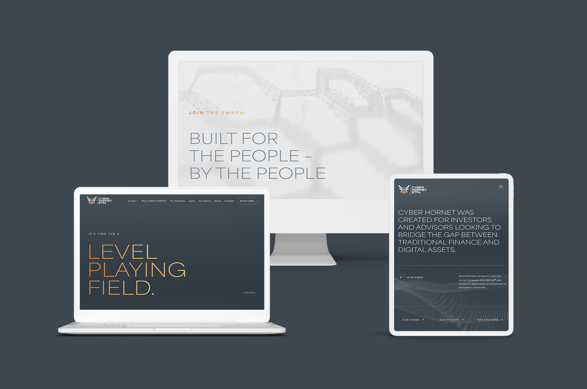 Cyber Hornet website homepage