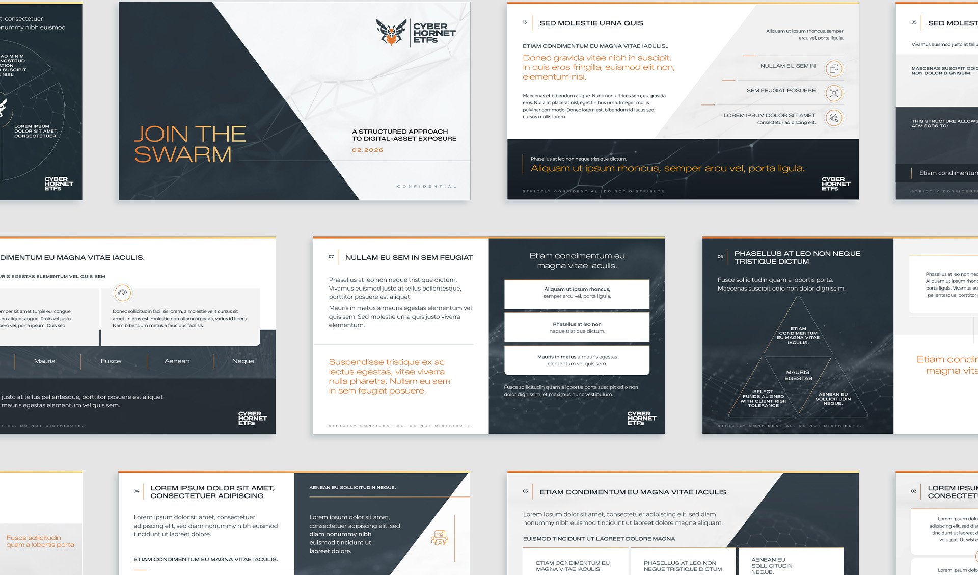 Cyber Hornet marketing pitchbook