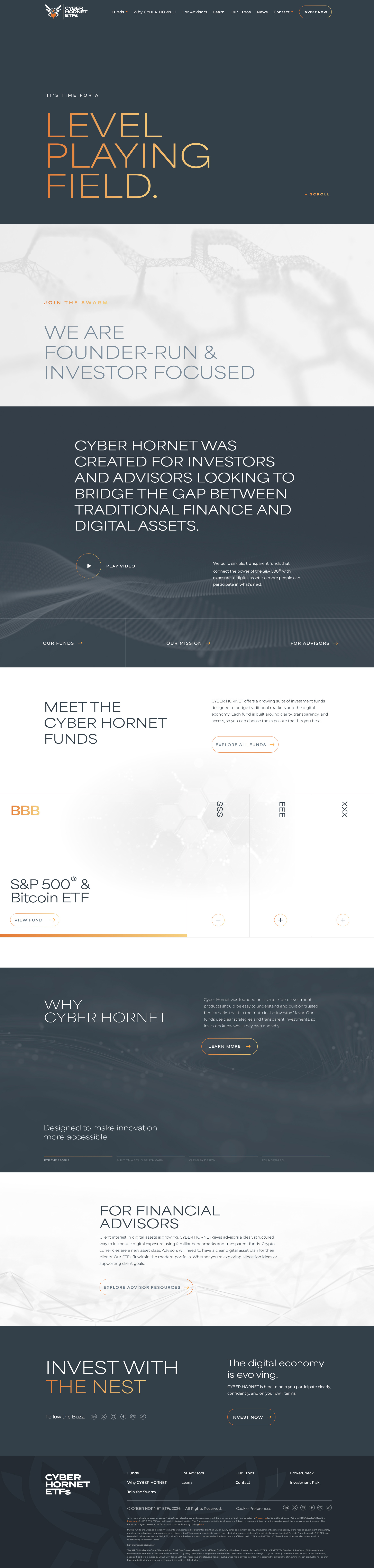 Cyber Hornet website homepage