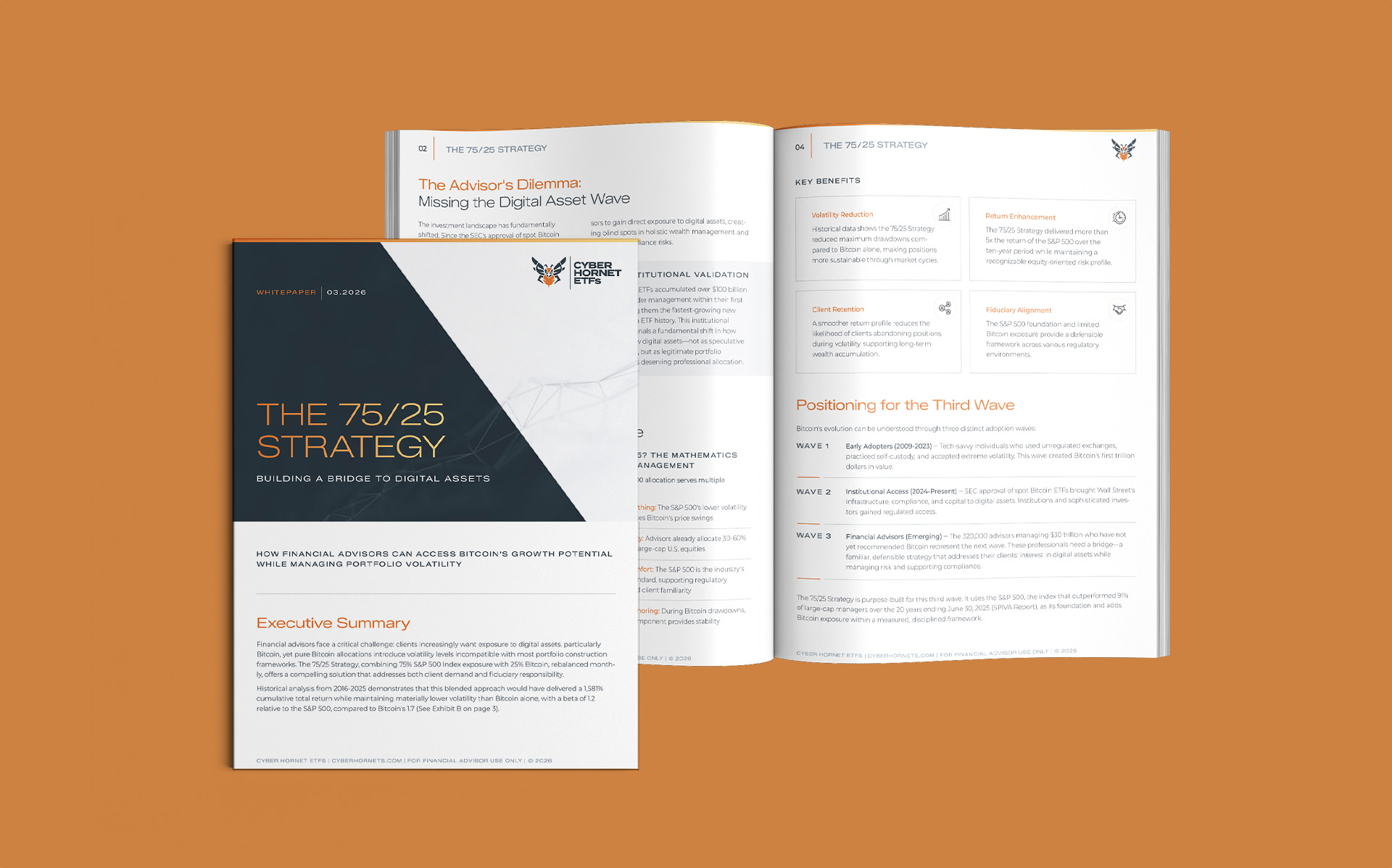 Cyber Hornet marketing pitchbook