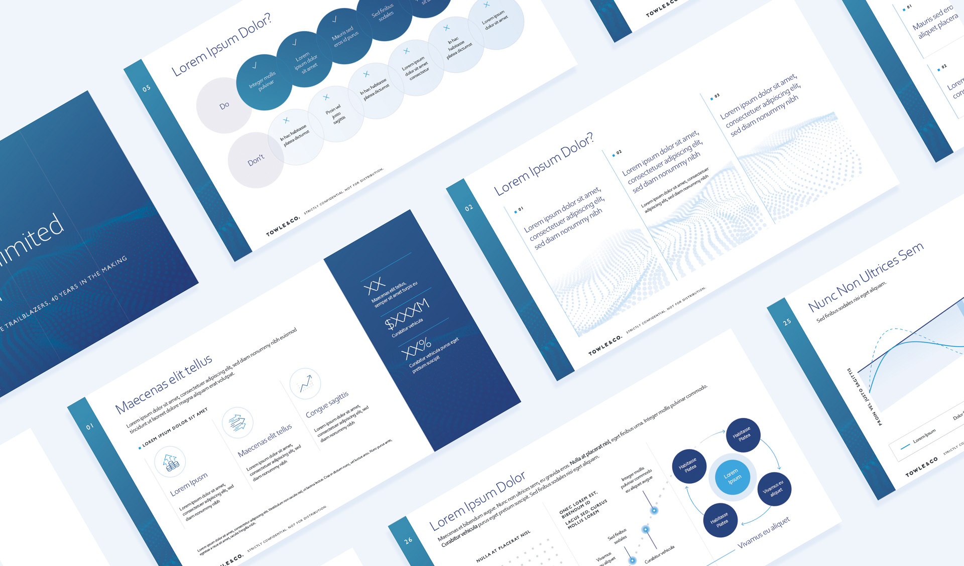 Cyber Hornet marketing pitchbook